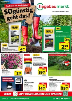 Vorschau der Angebote: Hagebau Flugblatt gültig ab 24.02.2026