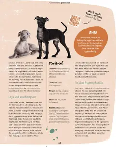 Vorschau des Merkblatts Magazin vom Shop Fressnapf gültig von 01.09.2025 bis | Seite: 43