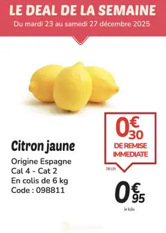Prévisualisation de PROMO citron du magasin Promocash formulaire valide 23/12/2025