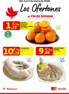 Vista previa del folleto de la tienda Alcampo válido desde el 03/01/2026 