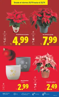 Vista previa del folleto de la tienda Lidl válido desde el 17/11/2025 | Página: 51