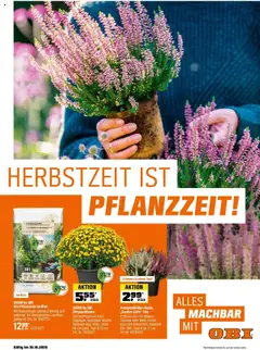 Vorschau von dem Prospekt des Geschäftes Obi, gültig ab dem 01.09.2025