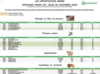 Prévisualisation de Catalogue du magasin Promocash formulaire valide 04/11/2025