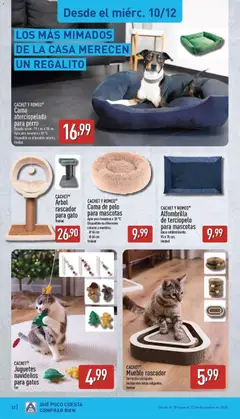 Vista previa del folleto de la tienda Aldi válido desde el 08/12/2025 | Página: 22