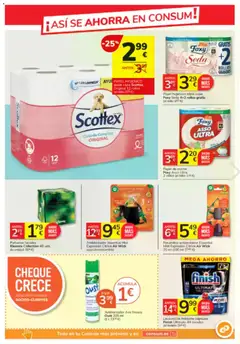 Vista previa del folleto de la tienda Consum válido desde el 23/10/2025 | Página: 13