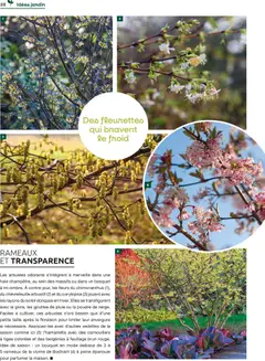 Prévisualisation de Catalogue du magasin Mr. Bricolage formulaire valide 01/12/2025 | Page: 88