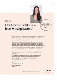 Vorschau der Angebote: Pagro-Diskont Ideenwerk gültig ab 17.09.2025 | Seite: 3