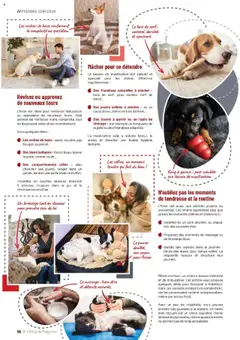 Prévisualisation de Catalogue du magasin VillaVerde formulaire valide 19/09/2025 | Page: 56