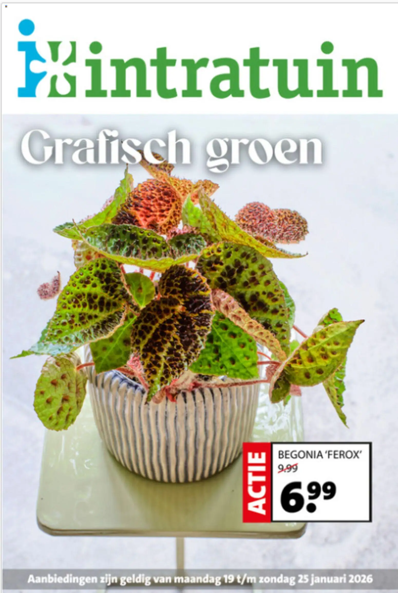 Voorbeeld van Folder van winkel Intratuin geldig vanaf 19-01-2026