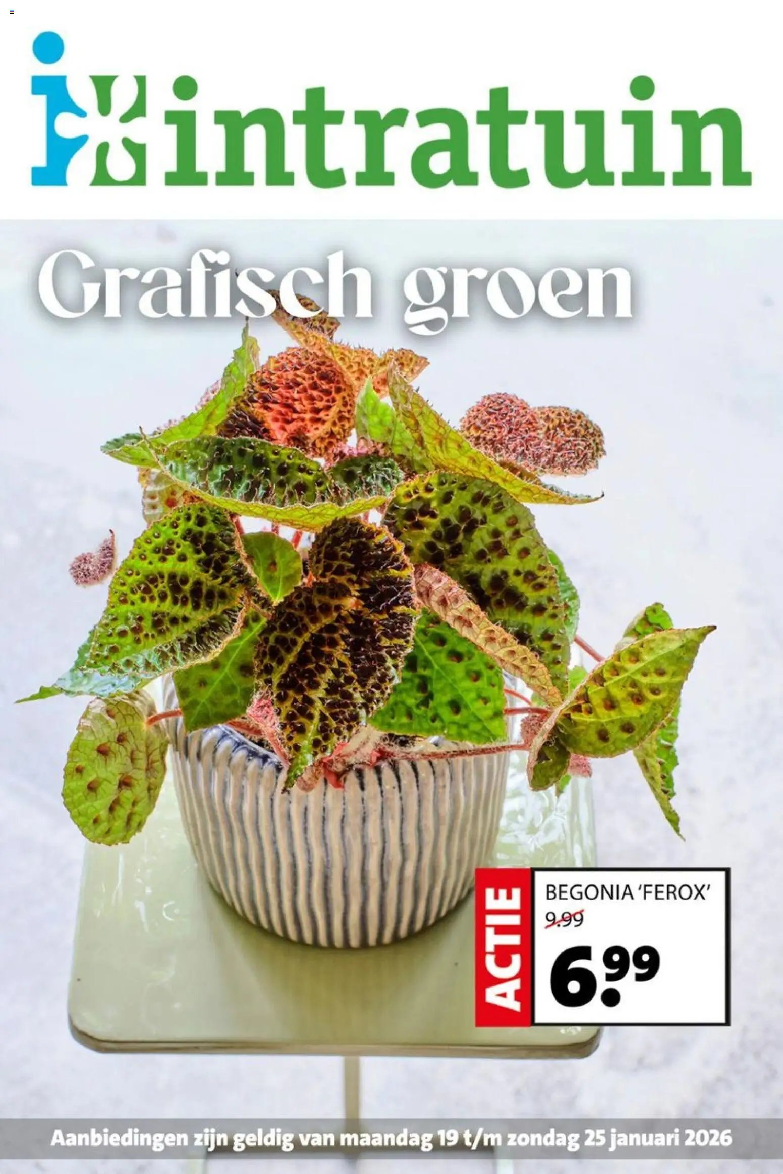 Voorbeeld van Folder van winkel Intratuin geldig vanaf 19-01-2026