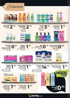 Vista previa del folleto de la tienda Family Cash válido desde el 10/11/2025 | Página: 13