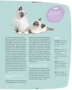 Previzualizarea de cataloage: Fressnapf Catalog - Vară valabil de la 05.05.2025 | Pagina: 45