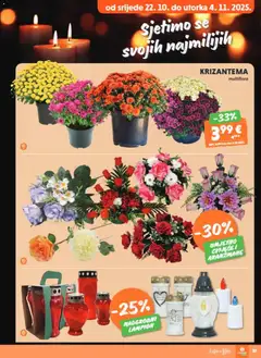 Pregled letka Katalog trgovine Studenac vrijedi od 29.10.2025 | Stranica: 37