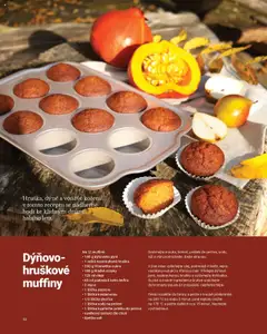 Náhled nabídky: TESCOMA Katalog - Podzim/zima 2025 platný od 20.10.2025 | Strana: 12