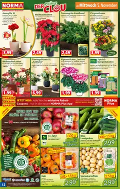 Vorschau der Angebote: Norma Flugblatt gültig ab 03.11.2025 | Seite: 13