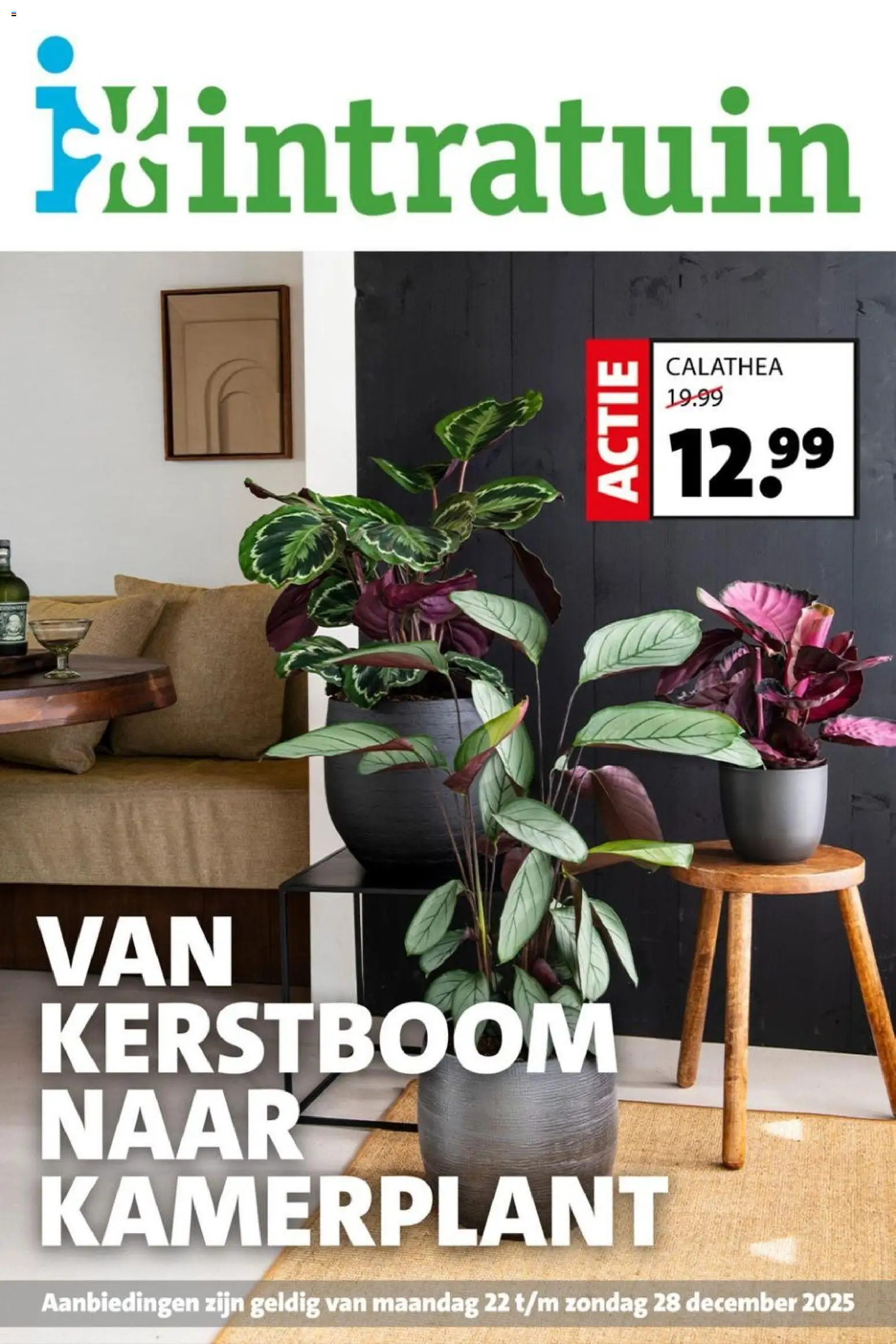 Voorbeeld van Folder van winkel Intratuin geldig vanaf 22-12-2025