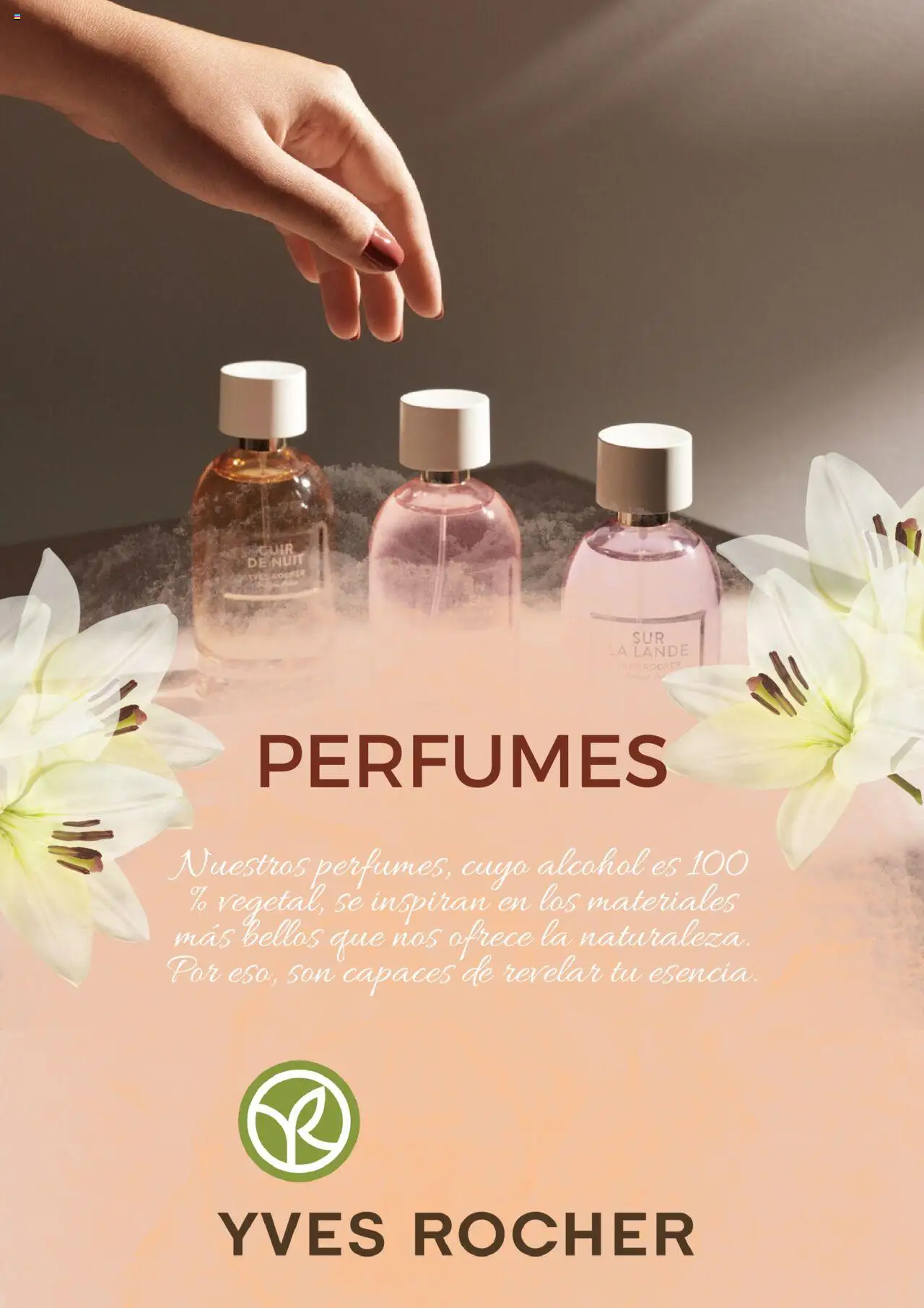 Yves Rocher Folleto > 01/08 - 31/08/2025 > Ofertas