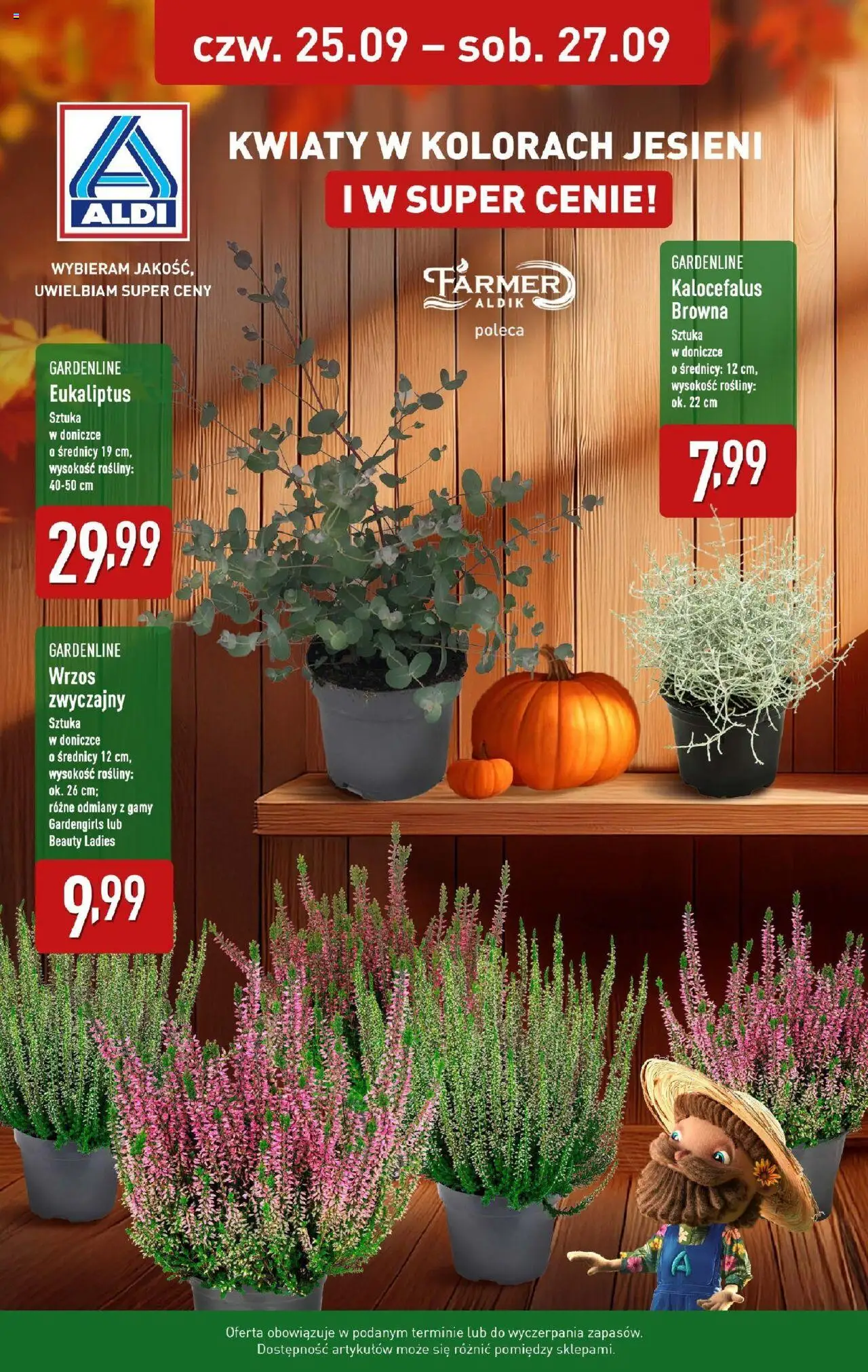 Aldi Kwiaty w kolorach jesieni od 25.09.2025 - Nowa Gazetka - Numer strony 1