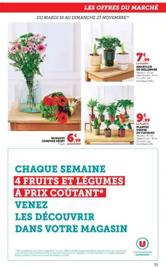 Prévisualisation de Catalogue du magasin Super U formulaire valide 18/11/2025 | Page: 33