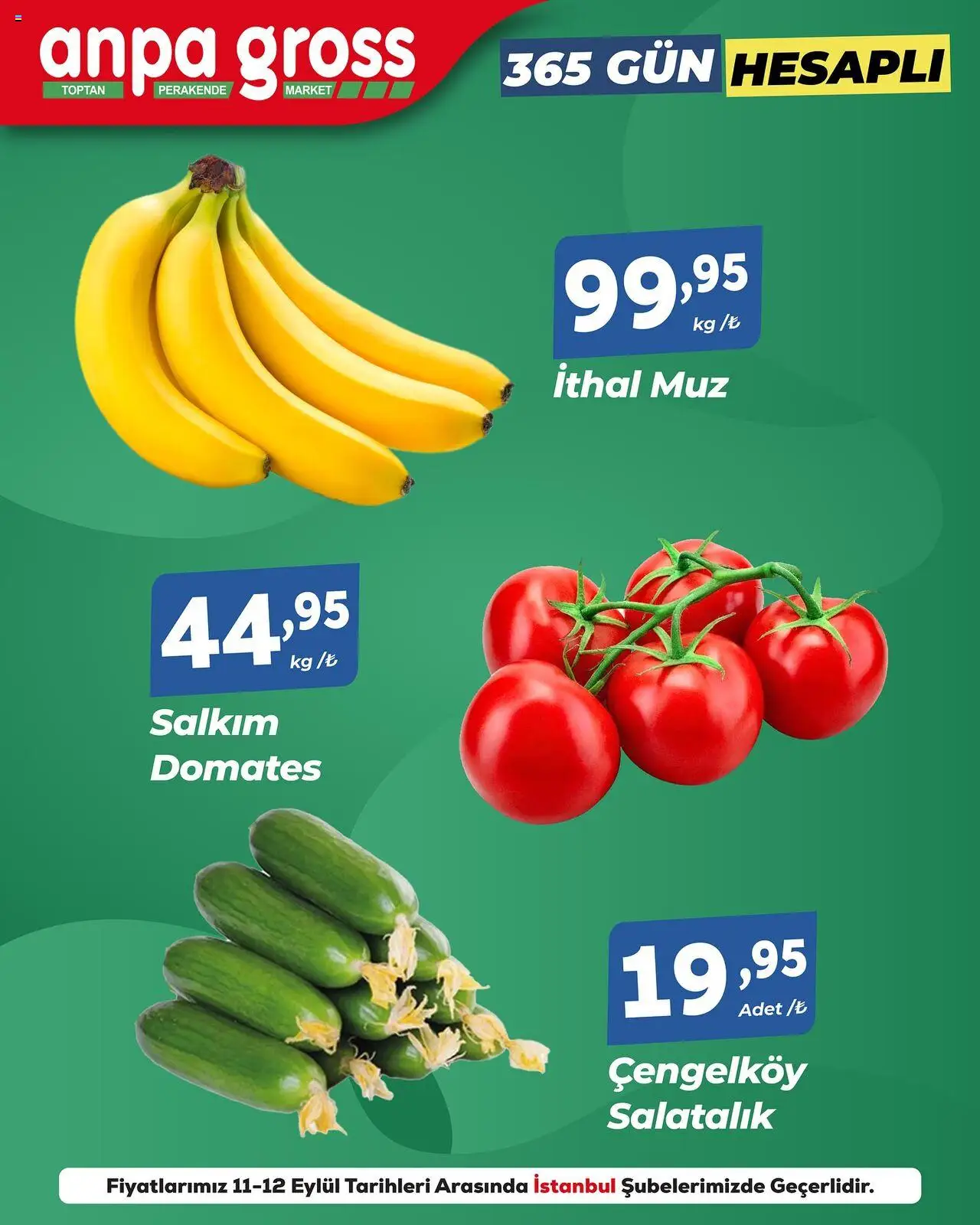 Anpa Gross Katalog (11 - 12 Eylül 2025) - Sayfa numarası 1