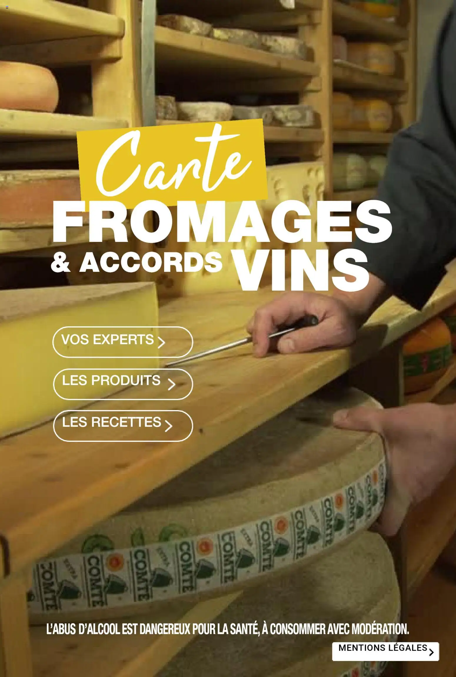 Prévisualisation de Carte fromages & accords vins du magasin Promocash formulaire valide 19/11/2025