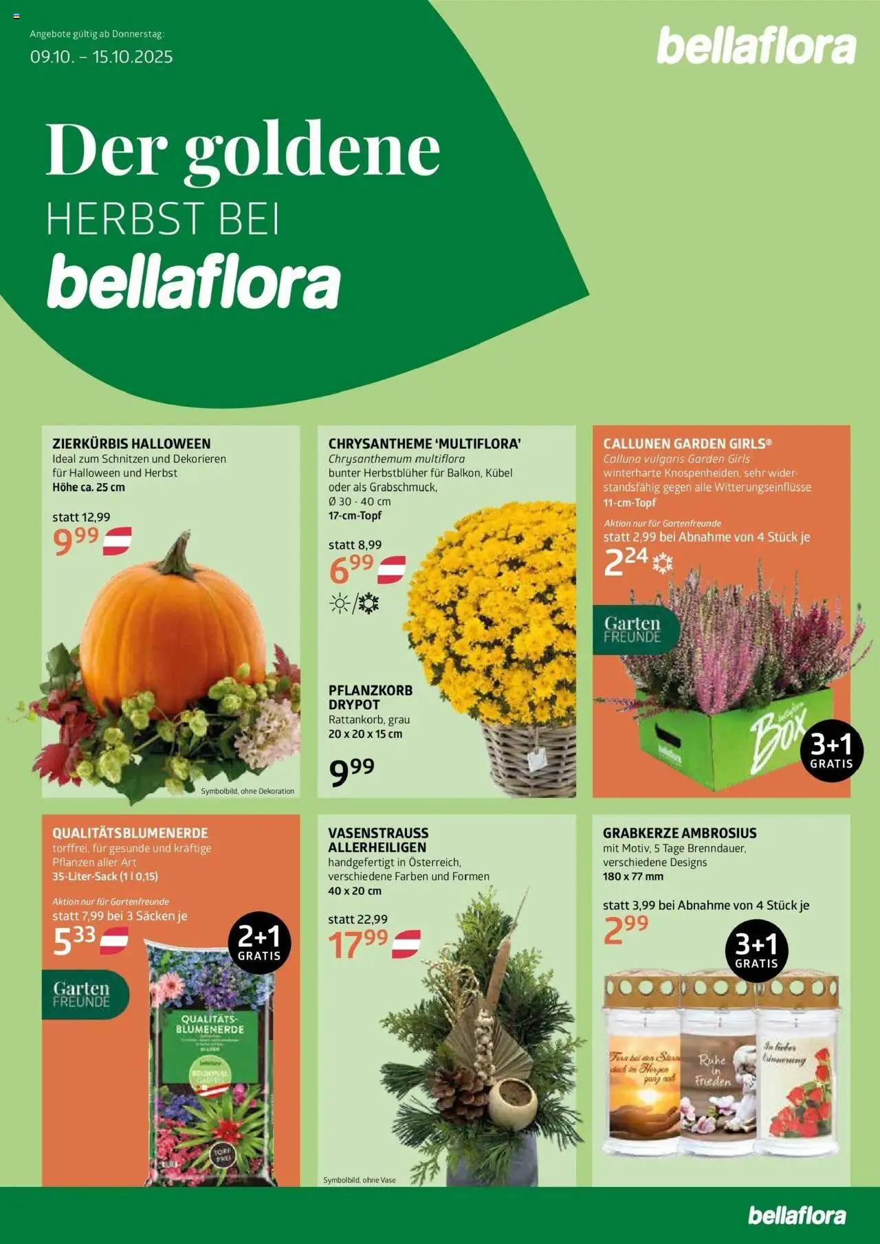 Vorschau der Angebote: bellaflora Flugblatt gültig ab 09.10.2025 - Vase