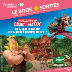 Prévisualisation de Le book de vos sorties du magasin Carrefour Market formulaire valide 01/10/2025