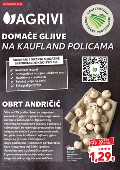 Pregled letka Katalog trgovine Kaufland vrijedi od 12.11.2025 | Stranica: 16