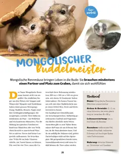 Vorschau des Merkblatts Magazin vom Shop Fressnapf gültig von 01.09.2025 bis | Seite: 28