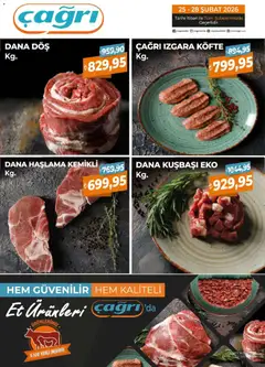 Çağrı Market Dana Katalog 25.02.2026 - Broşürünün önizlemesi