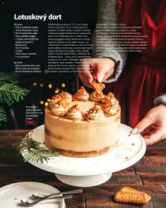 Náhled nabídky: TESCOMA Katalog - Podzim/zima 2025 platný od 20.10.2025 | Strana: 36