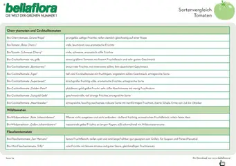 Vorschau der Angebote: bellaflora Sorten Tomaten gültig ab 13.02.2023