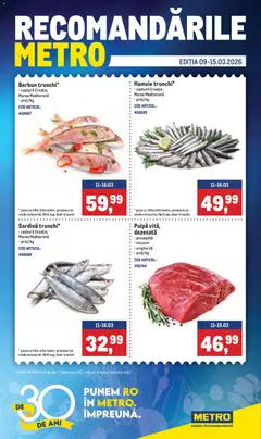 Previzualizarea de cataloage: Metro Metro Catalog valabil de la 09.03.2026
