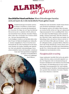 Vorschau des Merkblatts Magazin vom Shop Fressnapf gültig von 01.11.2025 bis 31.12.2025 | Seite: 32