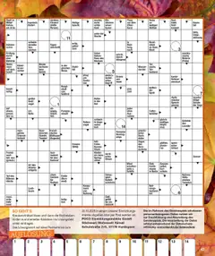 Vorschau von dem Prospekt des Geschäftes Poco, gültig ab dem 01.09.2025 | Seite: 47