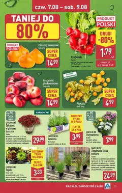 Pogląd gazetki "Gazetka" ze sklepu Aldi ważnej od 04.08.2025 | Strona: 33