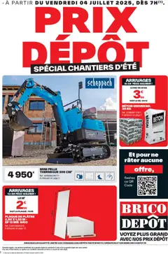 Prévisualisation de Catalogue du magasin Brico Dépôt formulaire valide 04/07/2025