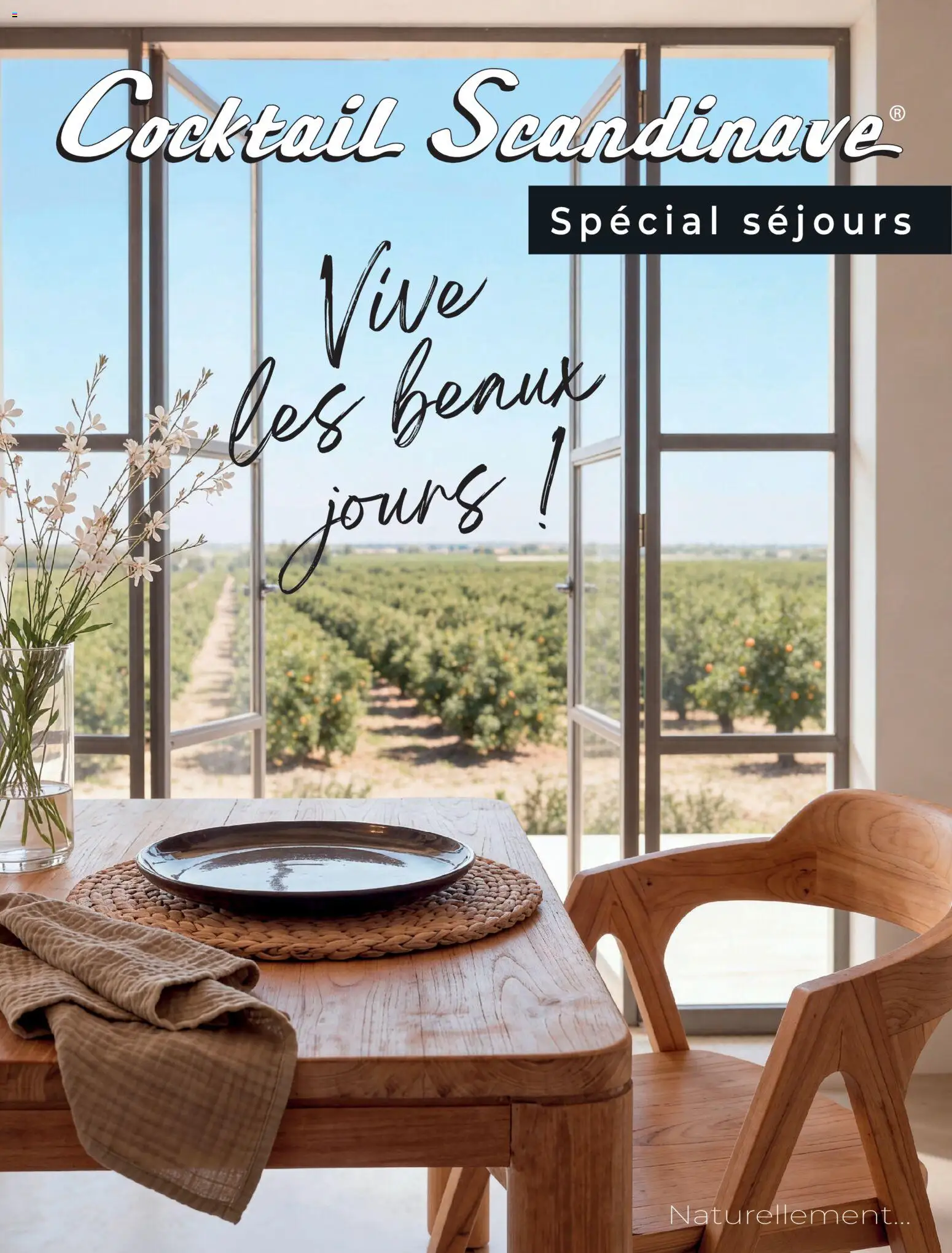 Prévisualisation de Cocktail Scandinave catalogue du magasin Cocktail Scandinave formulaire valide 26/04/2026