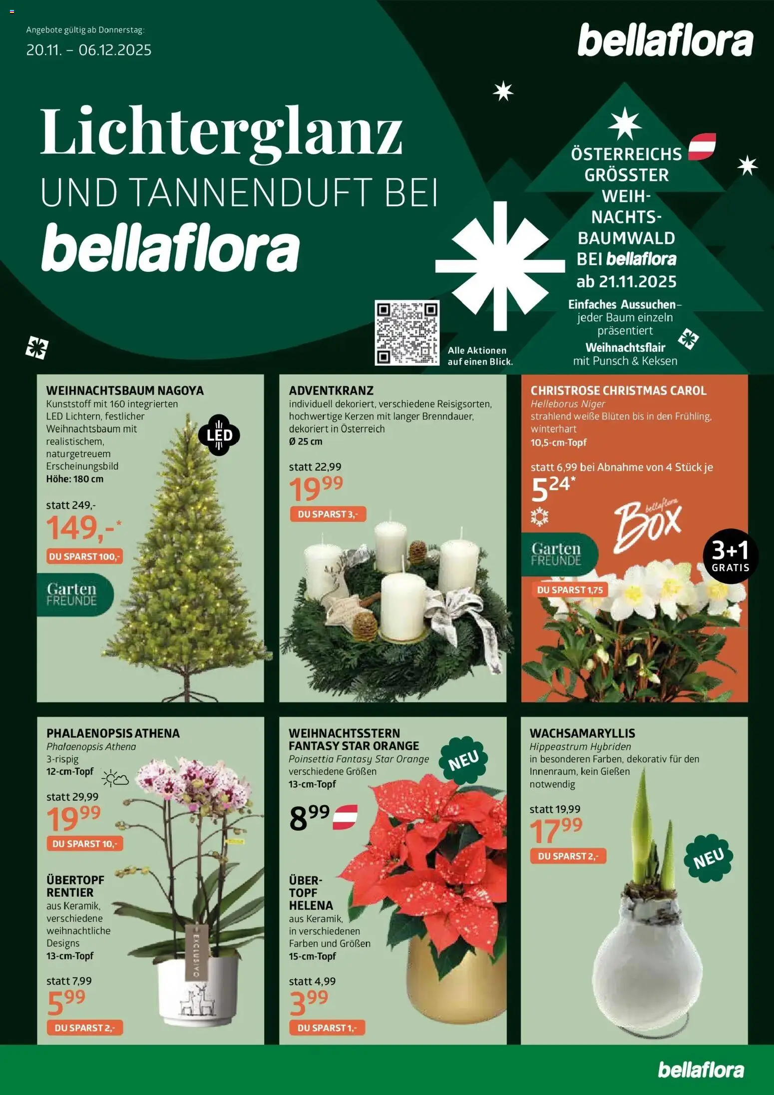 Vorschau der Angebote: bellaflora Bellaflora: Flugblatt gültig ab 19.11.2025