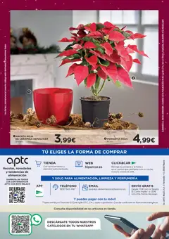 Vista previa del folleto de la tienda Hipercor válido desde el 04/12/2025 | Página: 82