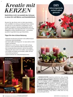 Vorschau der Angebote: Dehner Flugblatt gültig ab 10.10.2025 | Seite: 58