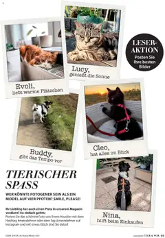 Vorschau von dem Prospekt des Geschäftes Dehner, gültig ab dem 09.10.2025 | Seite: 95