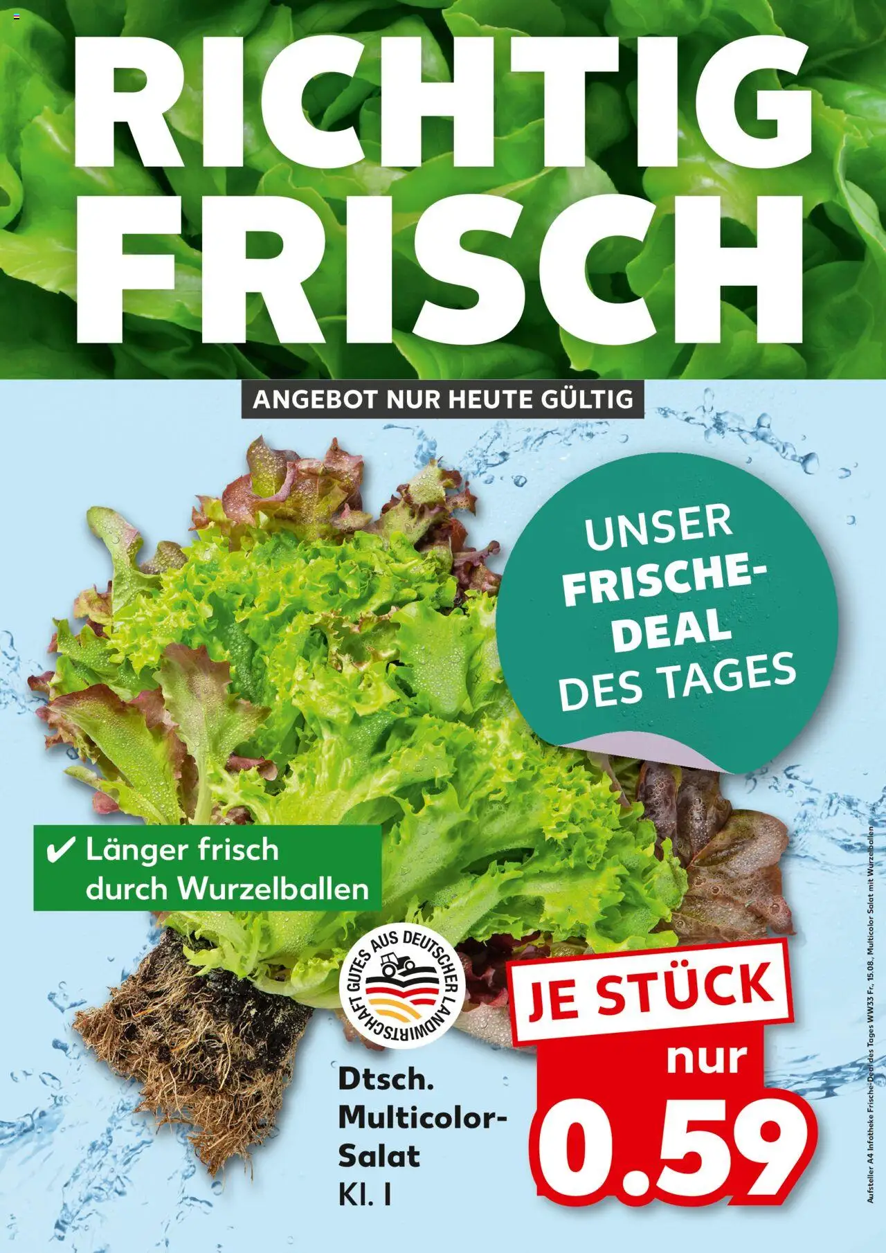 Kaufland DE shop DE Folder Rostock geldig vanaf 15-08-2025 - Paginanummer 1