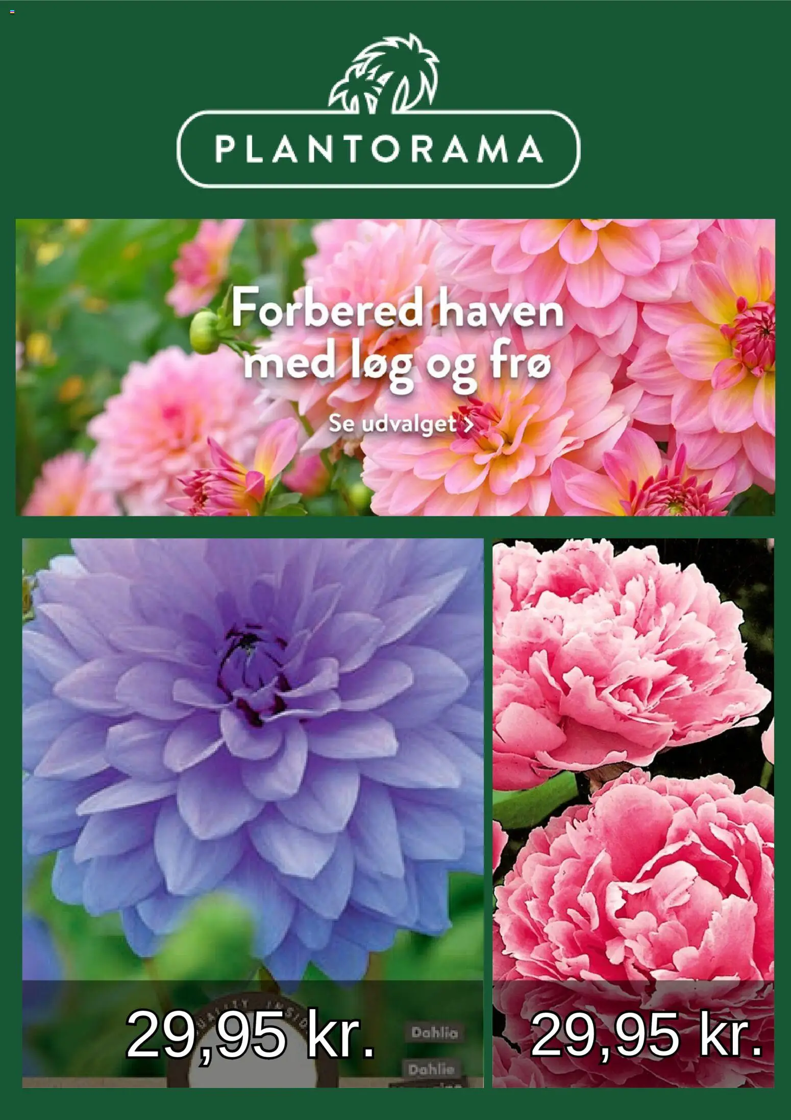 Eksempel på tilbudsavis Plantorama - Tilbudsavis fra butik Plantorama gyldig fra 01/03/2026
