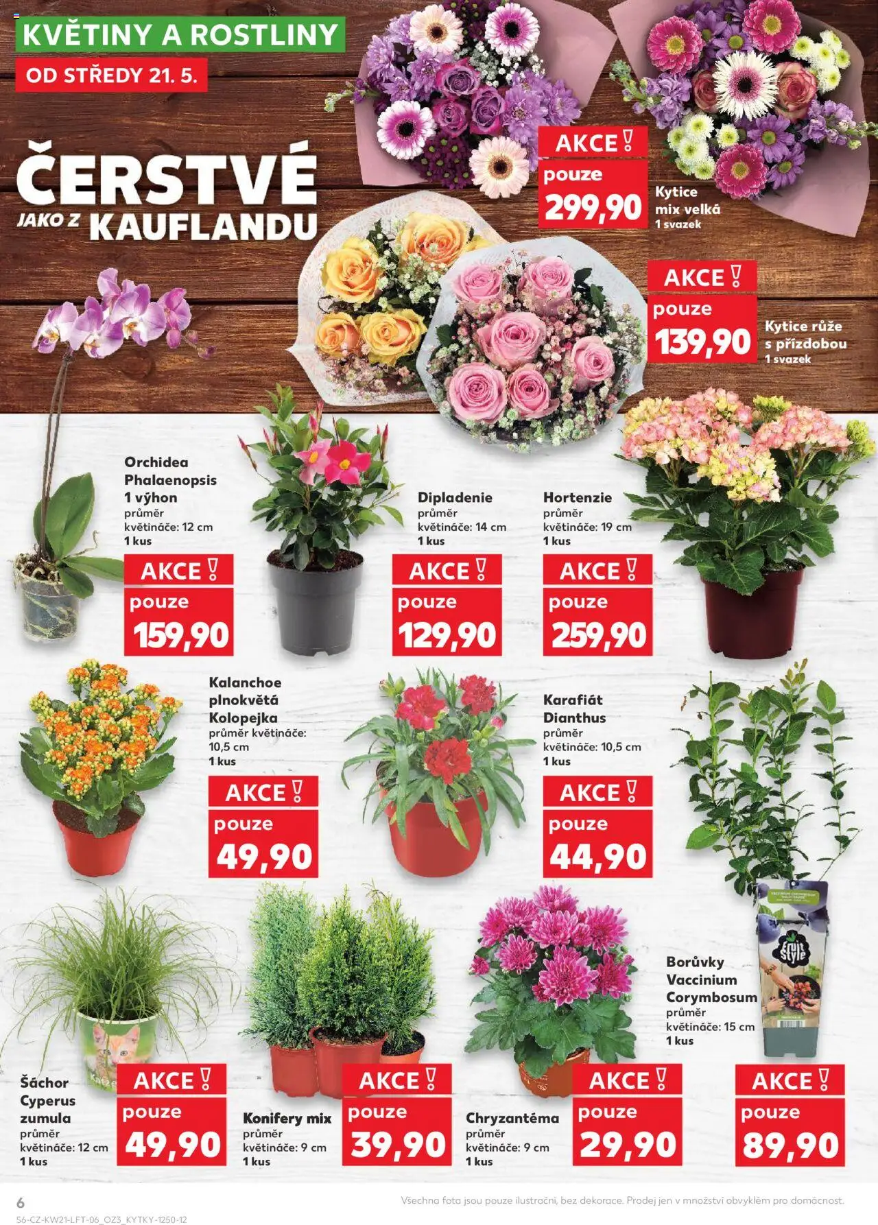  KAUFLAND Leták - Ostrava (21.05.2025) příští týden - strana 6 - Květiny, Kytice, Rostliny, Kalanchoe, Květináče, Borůvky