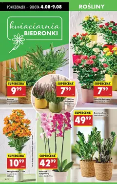 Pogląd gazetki "Nowa gazetka" ze sklepu Biedronka ważnej od 04.08.2025 | Strona: 21