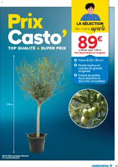 Prévisualisation de Catalogue du magasin Castorama formulaire valide 21/05/2025 | Page: 487