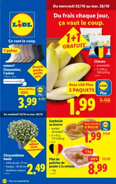 Prévisualisation de Folder week 43 du magasin Lidl formulaire valide 22/10/2025