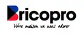 Logo Brico PRO
