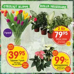 Förhandsgranska reklamblad Aktuella reklamblad EKO från butik EKO gäller från 05/01/2026
